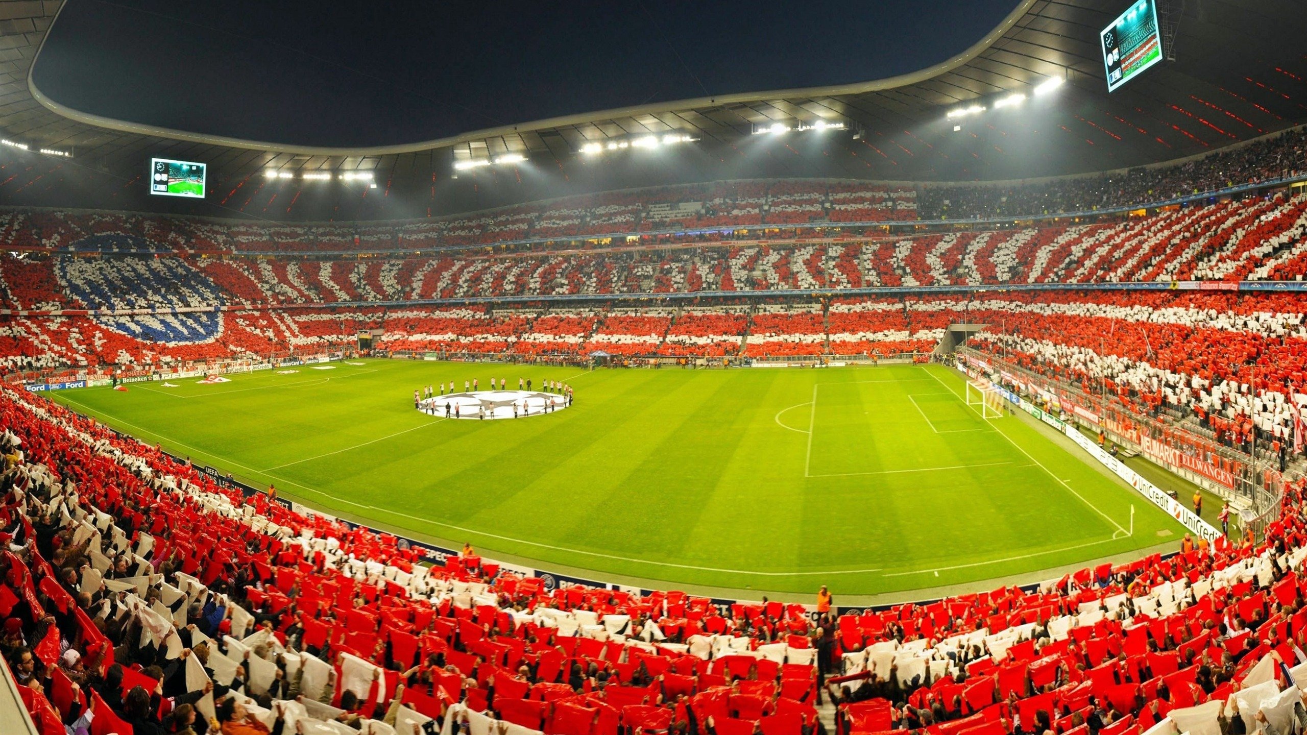 自由泳巅峰对决,新星崛起,老将捍卫荣耀