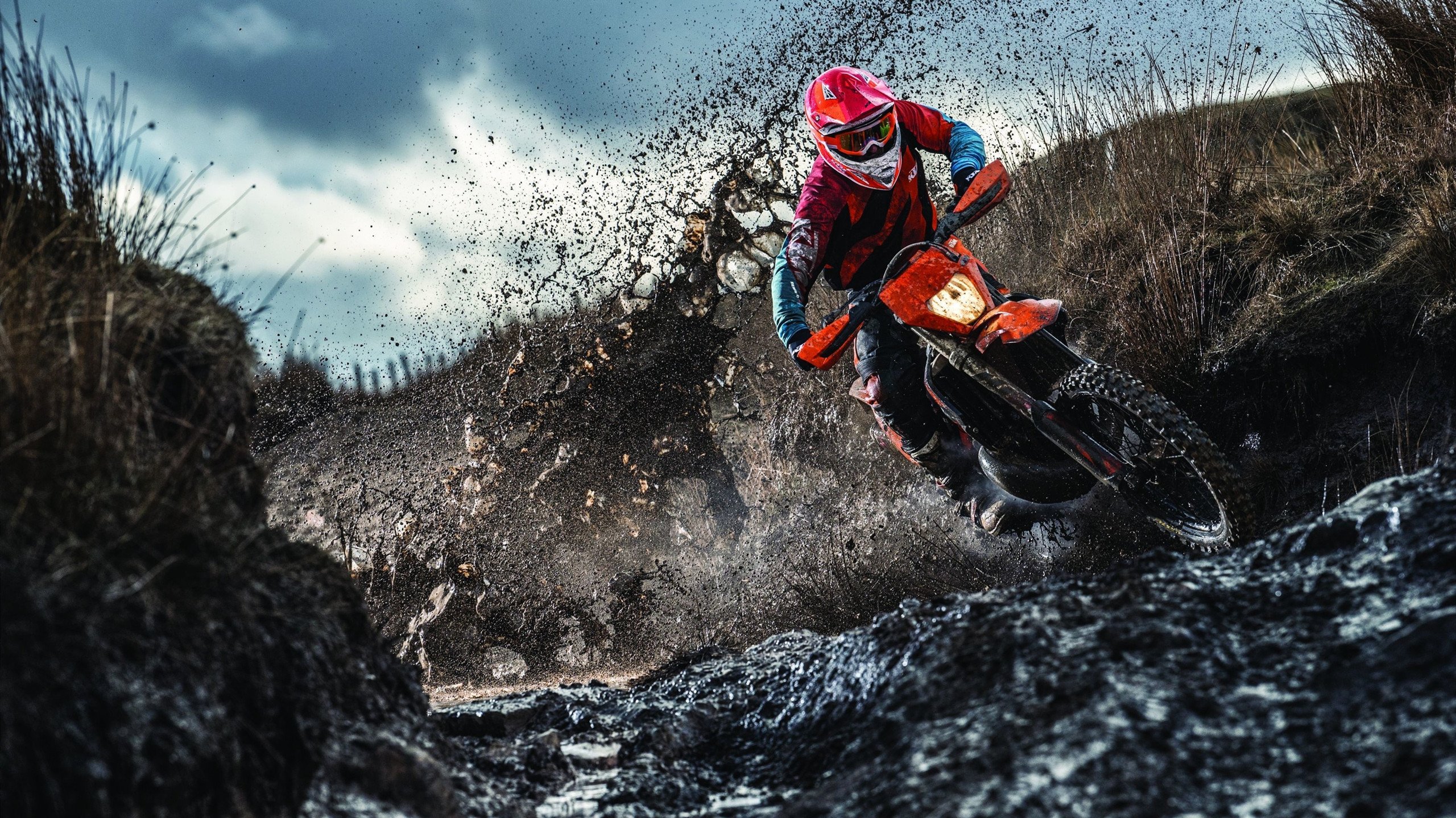 中国滑雪新星闪耀国际赛场,谷爱凌再夺金牌创历史